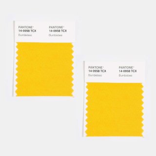 PANTONE® 棉质色卡
裁切成 2 张迷你色卡，双层结构
每张 5 厘米 × 5 厘米...